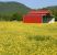 Carbondale Pole Barns by Ohio Valley Roofing Systems, LLC